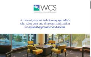 Wilmington Cleaning Solutions website