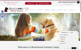 Brentwood Home Care Agency website