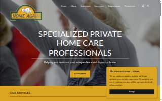 Home Again Home Care of Winston-Salem website