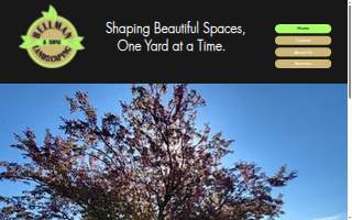 Hellman & Sons Landscaping website