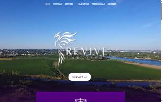 Revive Law Group website