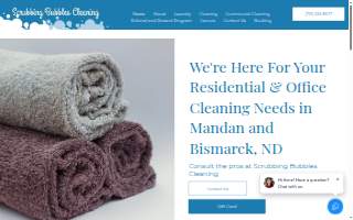 Scrubbing Bubbles Cleaning website