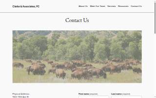 Clarke & Associates, PC website