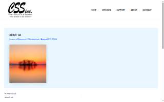 Client Solutions & Systems website