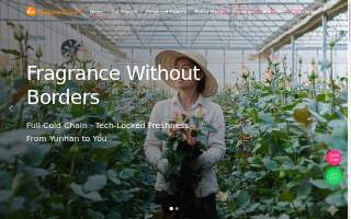DWF Omaha Wholesale Florist website