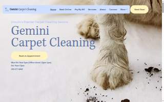 Gemini Carpet Cleaning website