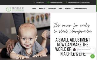 Horak Chiropractic & Acupuncture website