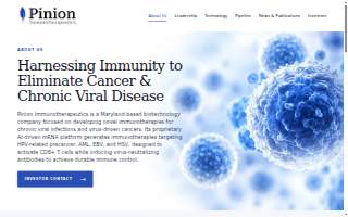 Pinion website