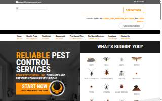 All Star Pest Control website