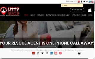 Litty Rescue Roadside website