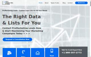 ProMarketing Leads LLC website