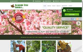Accurate Tree Service website
