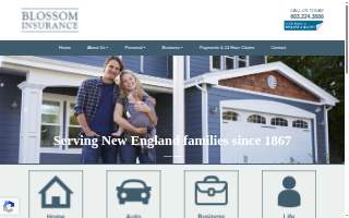 Blossom Insurance website