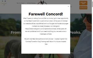Capital City Canines website