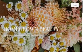 Silver Street Flower Farm website