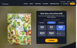 Bird House Car Wash website