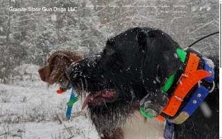 Granite State Gun Dogs LLC website