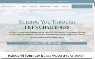 Naro Law PLLC website