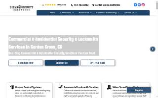Silva's Auto website
