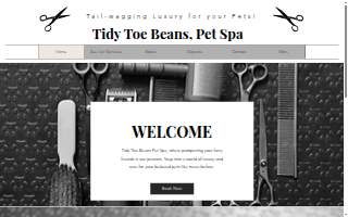 Tidy Toe Beans website