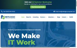 Netlogic Computer Consulting, LLC website