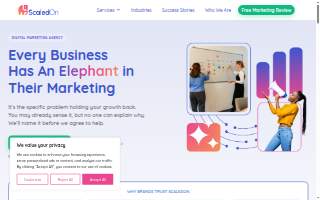 ScaledOn website