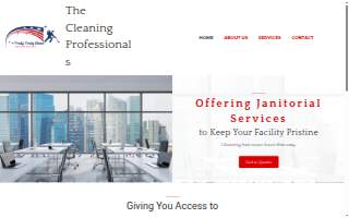Truly, Truly Clean, LLC website