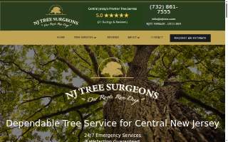 NJ Tree Surgeons of Bayonne website