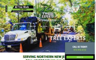 Z Tree Experts of Belleville website