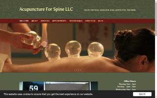 Acupuncture For Spine LLC website