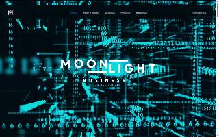 Moonlight Business Intelligence Corp. website