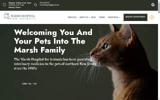 Marsh Hospital For Animals of Bloomfield website