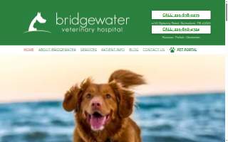 Bridgewater Veterinary Hospital website