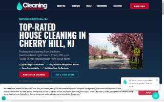 Cleaning Revolution website