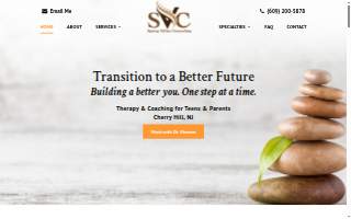 Spring Valley Counseling website