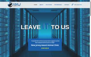 HMJ CONSULTING, LLC website