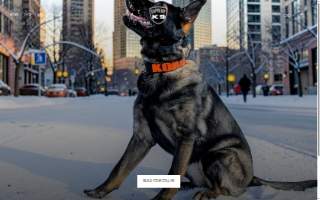 Supreme K9 Dog Training & Advocacy of Cliffside Park website