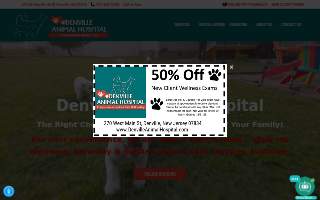 Denville Animal Hospital of Dover website