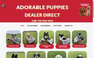 Puppy Paradise of East Windsor website