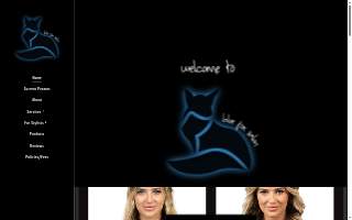 Blue Fox website