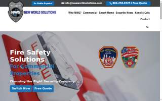 New World Solutions website