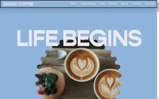 Bandic Coffee website