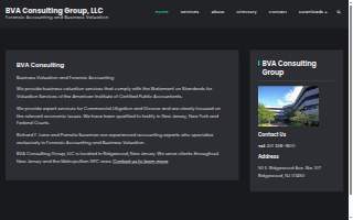 BVA Consulting Group, LLC website