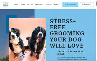 Hello Fresh Paws website