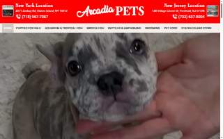 Arcadia Pets of Freehold website