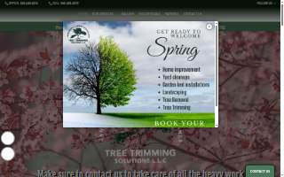 Tree Trimming Solutions LLC of Marlboro website