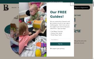 BabyEase Therapies website
