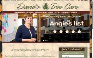 David's Tree Care website