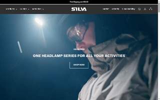 Silva Financial Services website