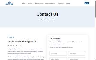 Big Fin SEO website